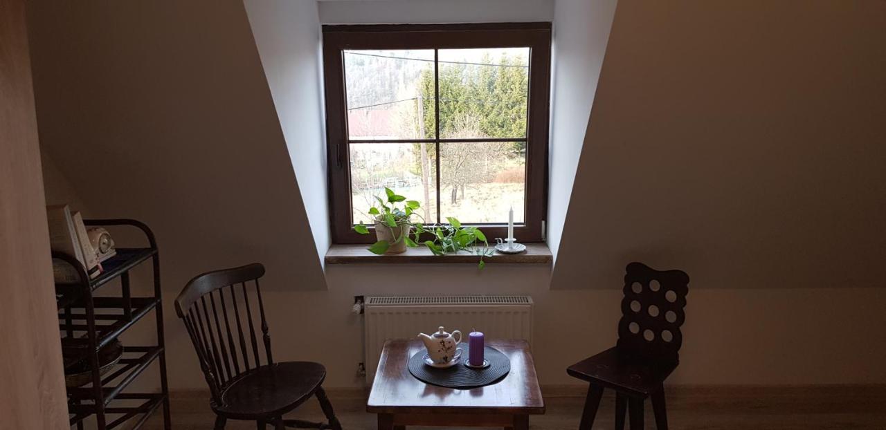 Pokoje Goscinne Art- Dworek Kudowa-Zdrój Extérieur photo