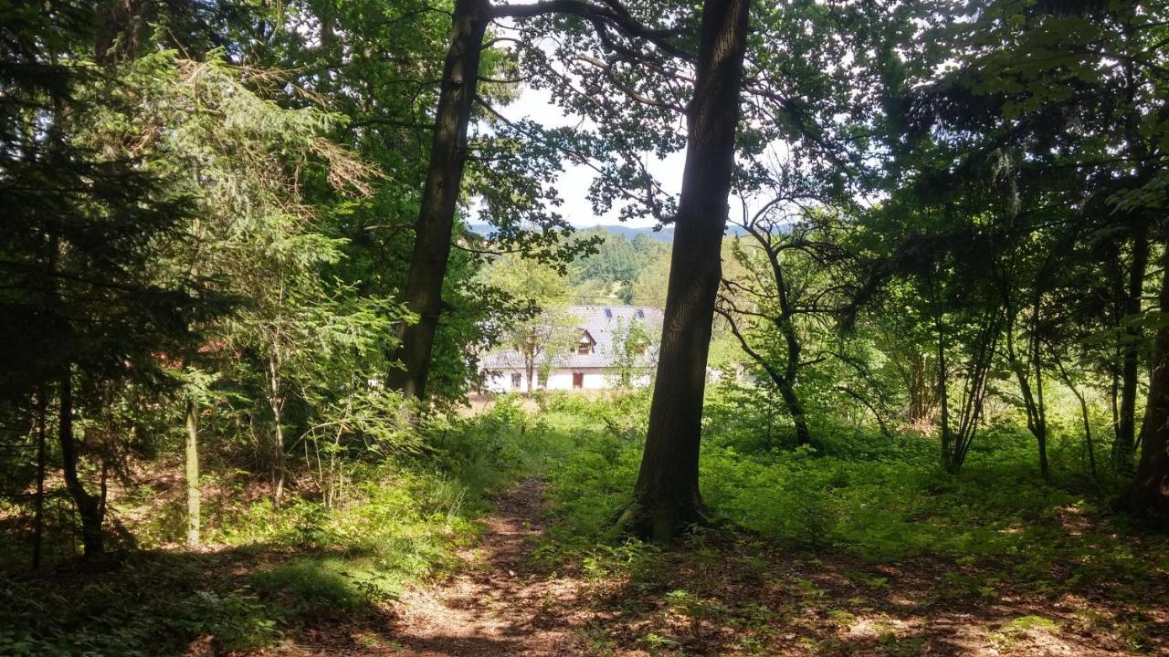 Pokoje Goscinne Art- Dworek Kudowa-Zdrój Extérieur photo