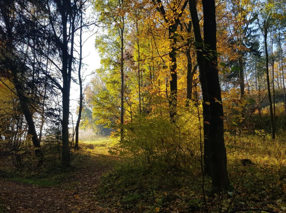 Pokoje Goscinne Art- Dworek Kudowa-Zdrój Extérieur photo