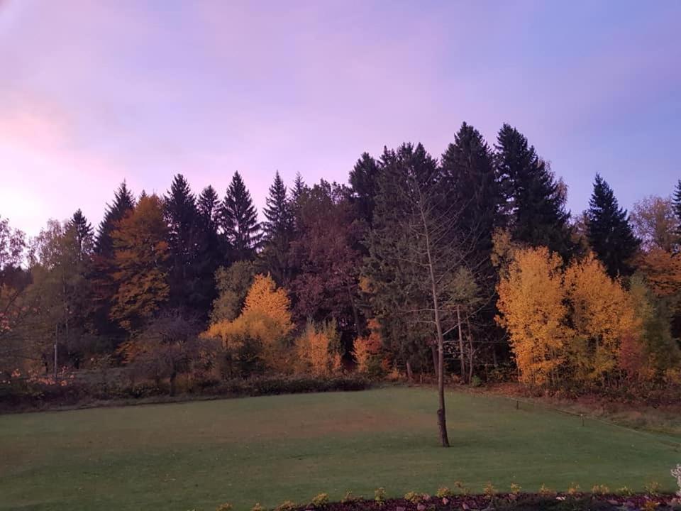 Pokoje Goscinne Art- Dworek Kudowa-Zdrój Extérieur photo
