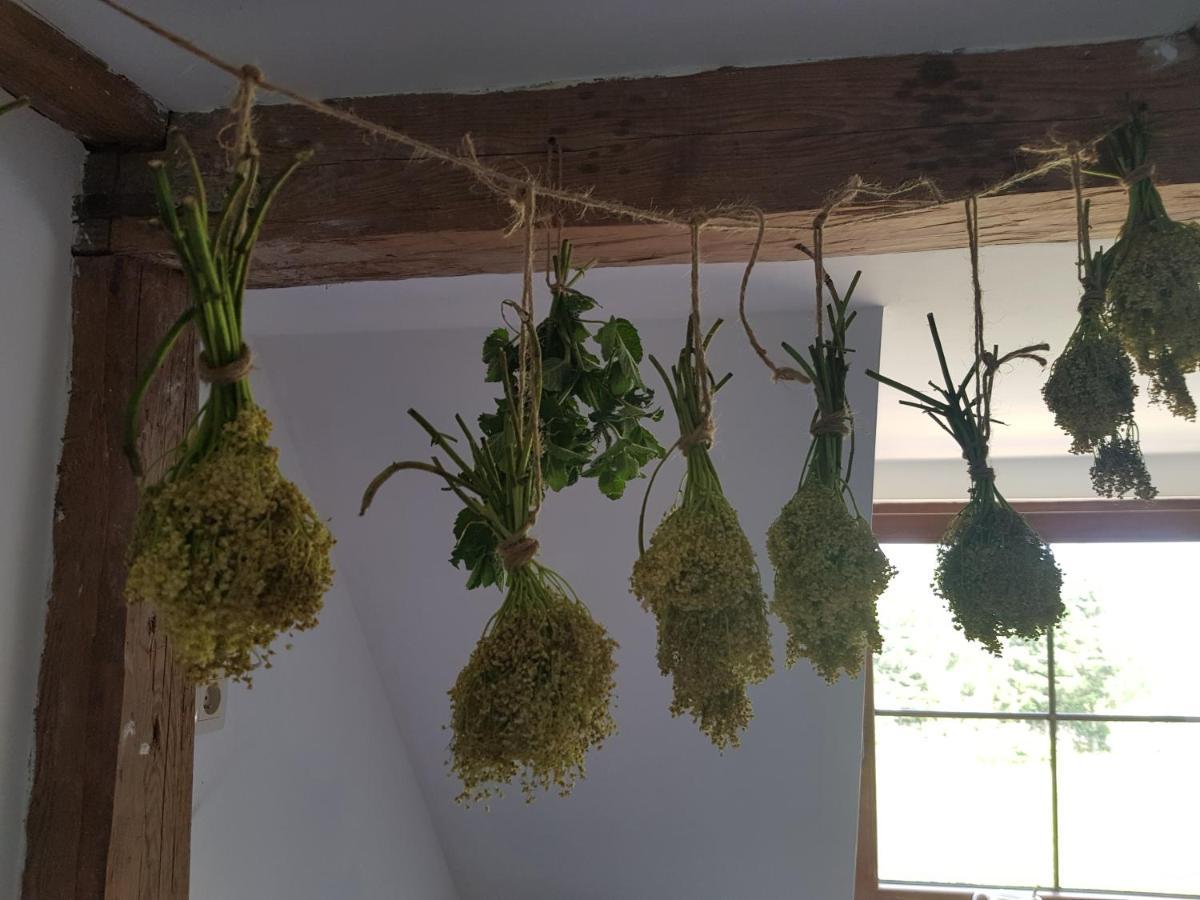 Pokoje Goscinne Art- Dworek Kudowa-Zdrój Extérieur photo