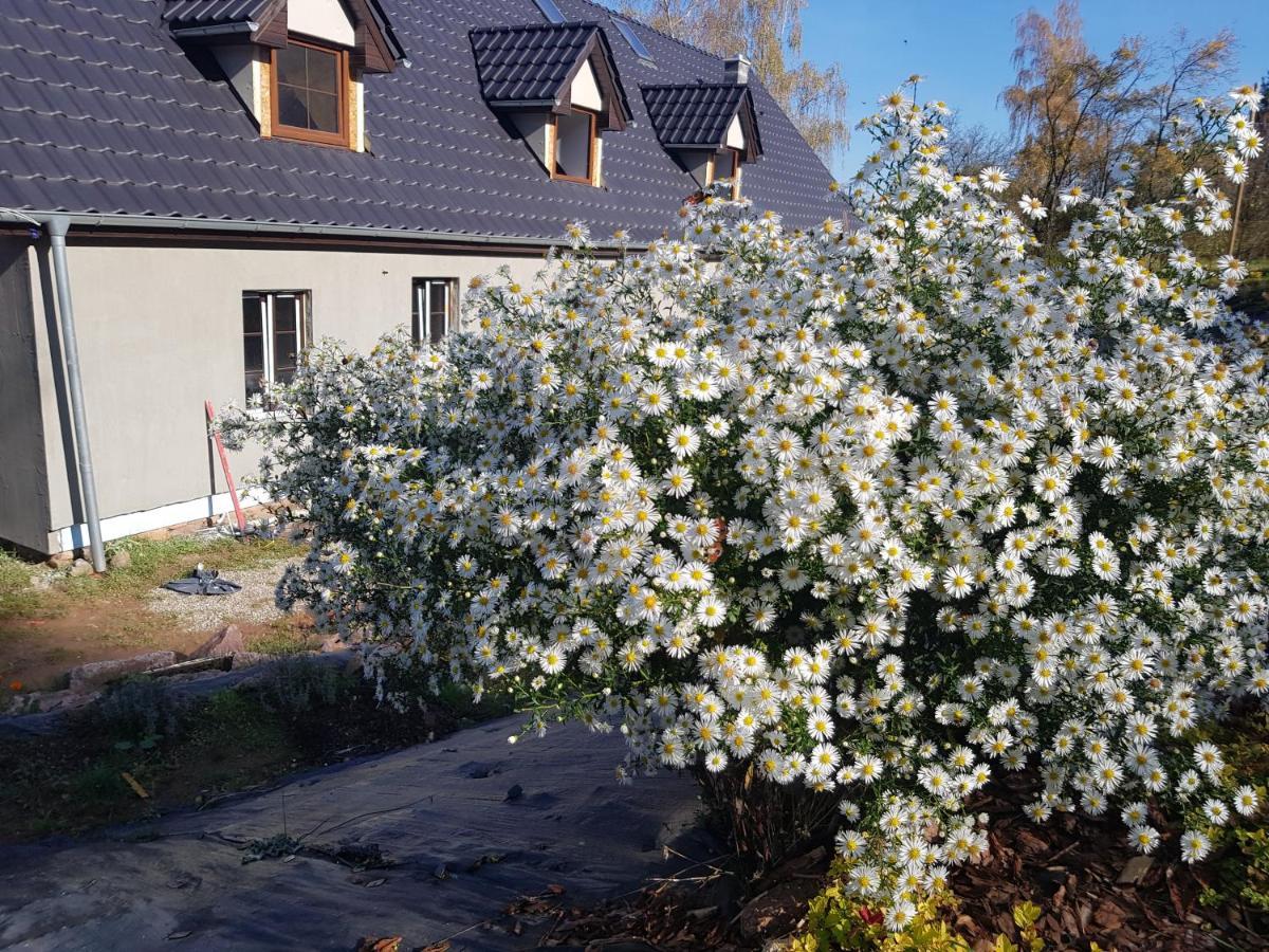 Pokoje Goscinne Art- Dworek Kudowa-Zdrój Extérieur photo