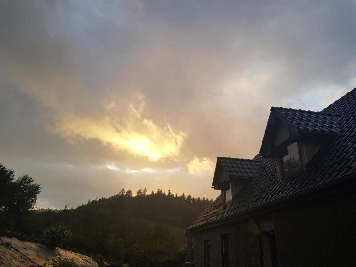Pokoje Goscinne Art- Dworek Kudowa-Zdrój Extérieur photo