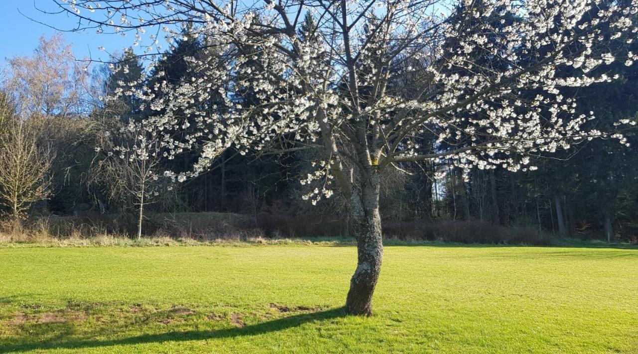 Pokoje Goscinne Art- Dworek Kudowa-Zdrój Extérieur photo