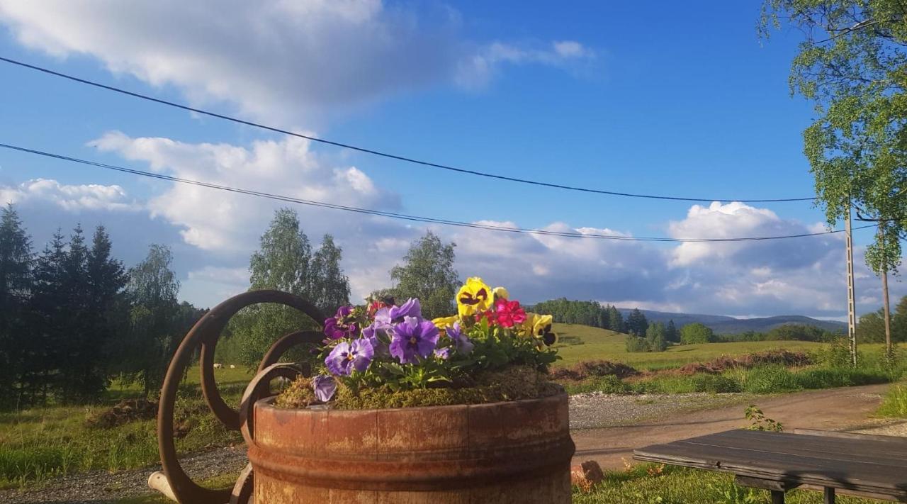 Pokoje Goscinne Art- Dworek Kudowa-Zdrój Extérieur photo