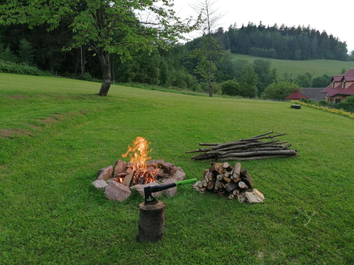 Pokoje Goscinne Art- Dworek Kudowa-Zdrój Extérieur photo