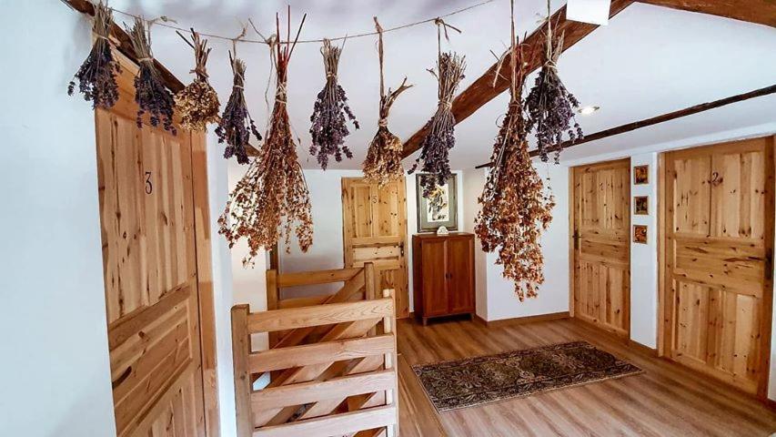 Pokoje Goscinne Art- Dworek Kudowa-Zdrój Extérieur photo
