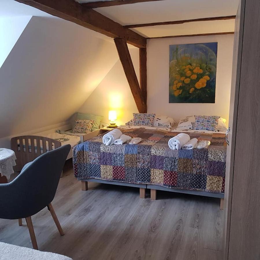 Pokoje Goscinne Art- Dworek Kudowa-Zdrój Extérieur photo