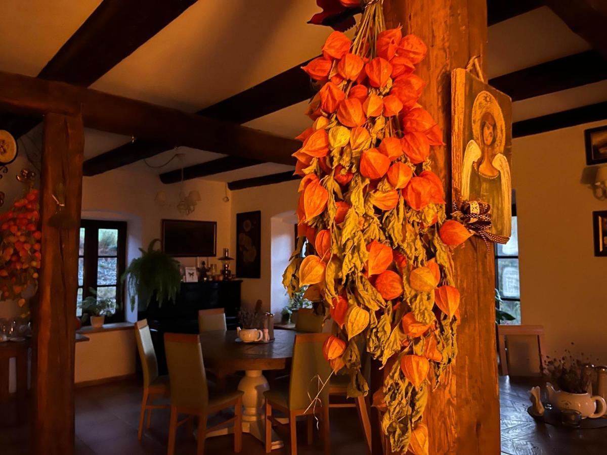 Pokoje Goscinne Art- Dworek Kudowa-Zdrój Extérieur photo