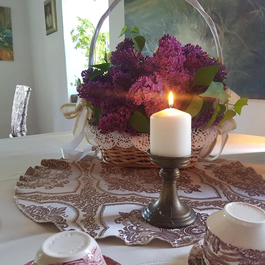 Pokoje Goscinne Art- Dworek Kudowa-Zdrój Extérieur photo